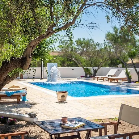 Fantasy Guest house