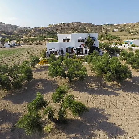 Fantasy Guest house