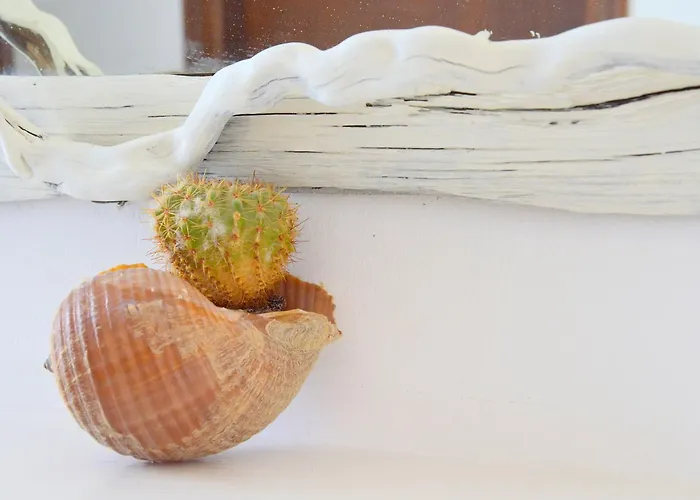 Fantasy آداماس